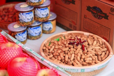 遼寧大連市普蘭店區舉辦特色農產品展銷會