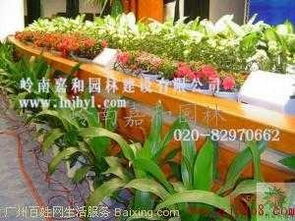 嶺南嘉和園林 科學(xué)城植物租賃與綠化養(yǎng)護(hù)的專業(yè)供應(yīng)商